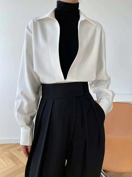 LMQ Novi ženski modni dizajn Elegantan V-oblika dekoltea s igle, pulover s dugim rukavima, košulja, sklopivi bluze, Uredski ženske svakodnevne vrhovima