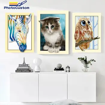 Studio fotografija 60x75 cm Zimske Mačke boje Pregledom Životinje Slika Broj Nulta osnova 40x50 cm Poklon Za Doma Dekor